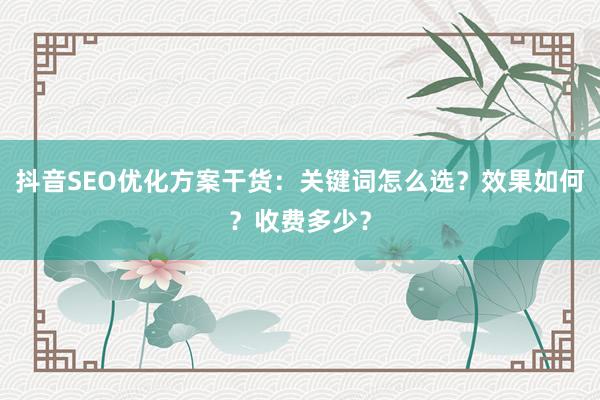 抖音SEO优化方案干货：关键词怎么选？效果如何？收费多少？