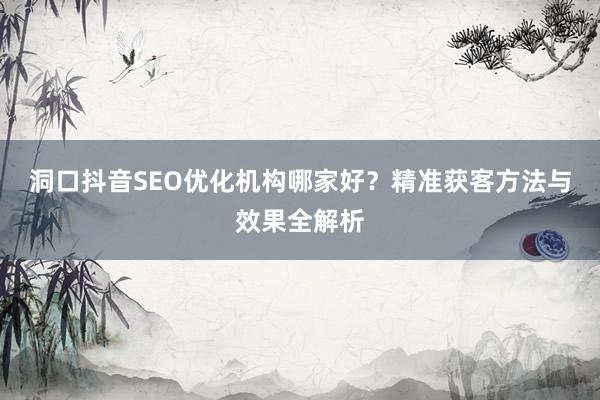 洞口抖音SEO优化机构哪家好？精准获客方法与效果全解析