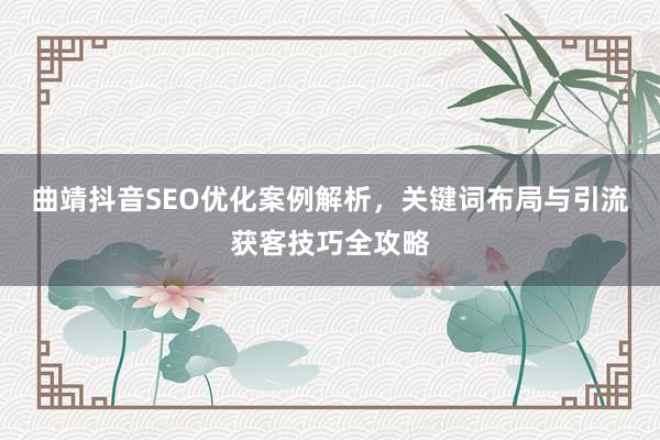 曲靖抖音SEO优化案例解析，关键词布局与引流获客技巧全攻略