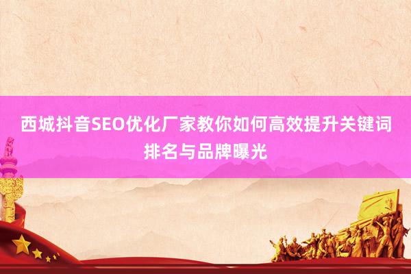 西城抖音SEO优化厂家教你如何高效提升关键词排名与品牌曝光