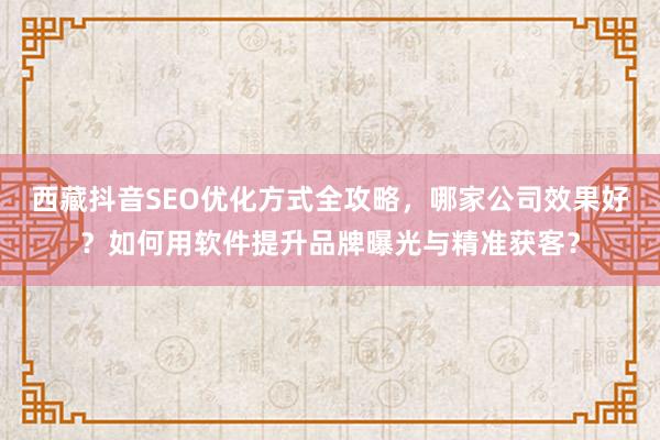 西藏抖音SEO优化方式全攻略，哪家公司效果好？如何用软件提升品牌曝光与精准获客？