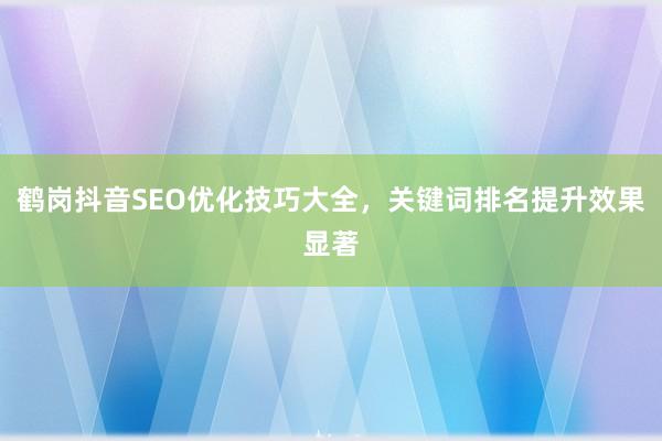 鹤岗抖音SEO优化技巧大全，关键词排名提升效果显著