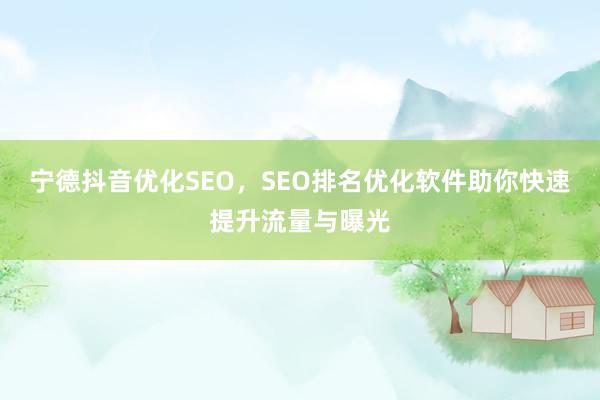 宁德抖音优化SEO，SEO排名优化软件助你快速提升流量与曝光