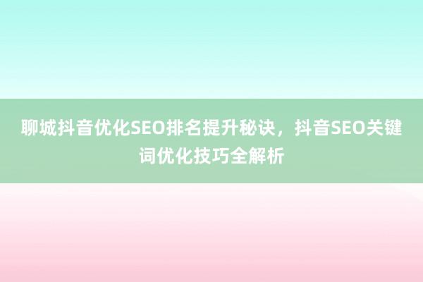 聊城抖音优化SEO排名提升秘诀，抖音SEO关键词优化技巧全解析