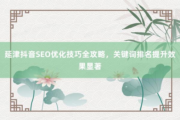 延津抖音SEO优化技巧全攻略，关键词排名提升效果显著