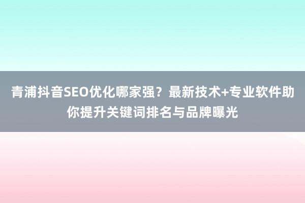 青浦抖音SEO优化哪家强？最新技术+专业软件助你提升关键词排名与品牌曝光