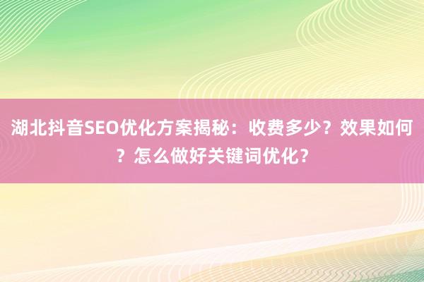 湖北抖音SEO优化方案揭秘：收费多少？效果如何？怎么做好关键词优化？