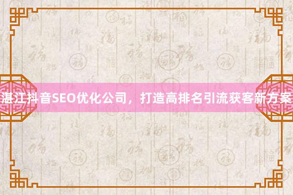 湛江抖音SEO优化公司，打造高排名引流获客新方案