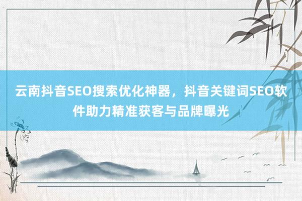 云南抖音SEO搜索优化神器，抖音关键词SEO软件助力精准获客与品牌曝光