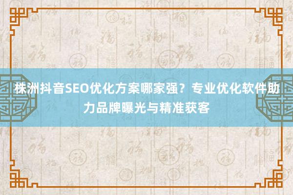 株洲抖音SEO优化方案哪家强？专业优化软件助力品牌曝光与精准获客