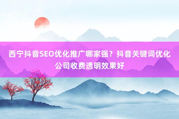 西宁抖音SEO优化推广哪家强？抖音关键词优化公司收费透明效果好