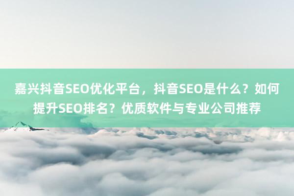 嘉兴抖音SEO优化平台，抖音SEO是什么？如何提升SEO排名？优质软件与专业公司推荐