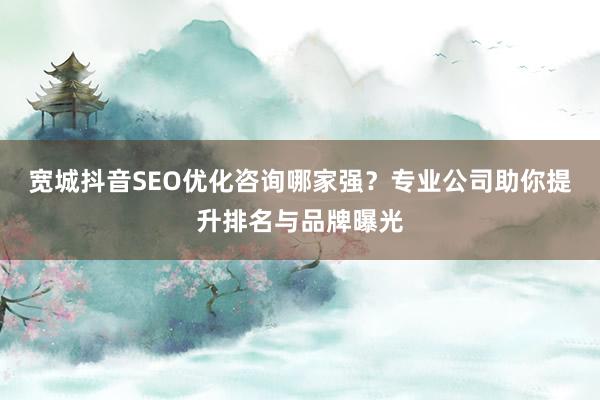 宽城抖音SEO优化咨询哪家强？专业公司助你提升排名与品牌曝光