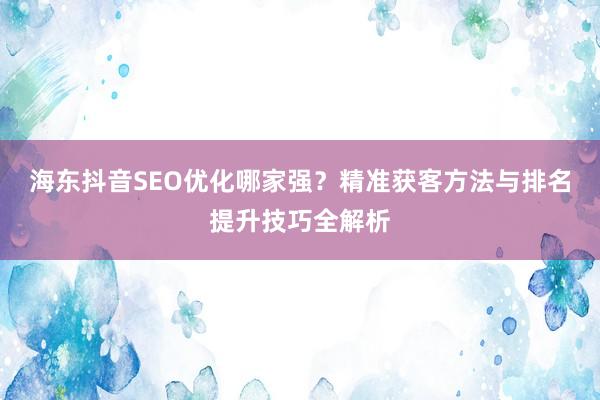 海东抖音SEO优化哪家强？精准获客方法与排名提升技巧全解析