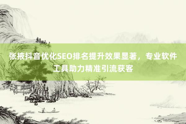 张掖抖音优化SEO排名提升效果显著，专业软件工具助力精准引流获客