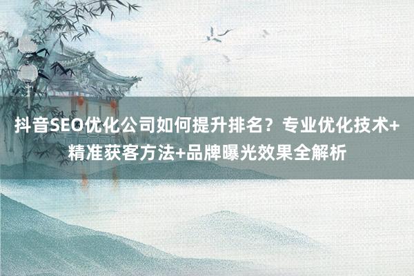 抖音SEO优化公司如何提升排名？专业优化技术+精准获客方法+品牌曝光效果全解析