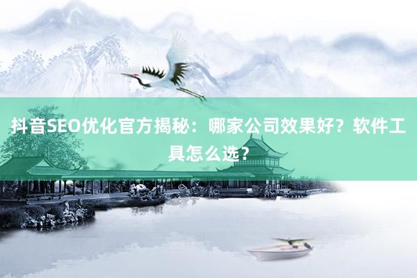 抖音SEO优化官方揭秘：哪家公司效果好？软件工具怎么选？
