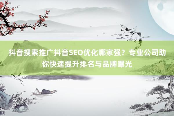 抖音搜索推广抖音SEO优化哪家强？专业公司助你快速提升排名与品牌曝光