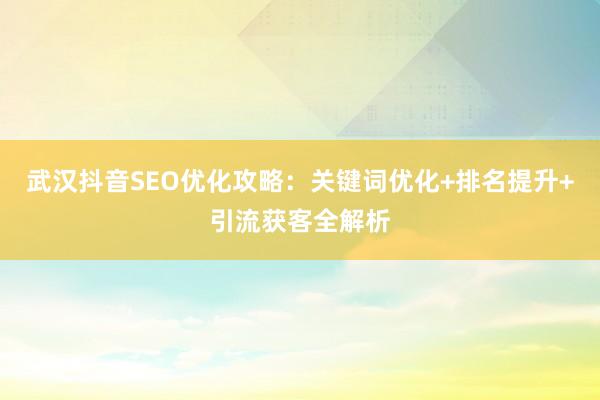 武汉抖音SEO优化攻略：关键词优化+排名提升+引流获客全解析