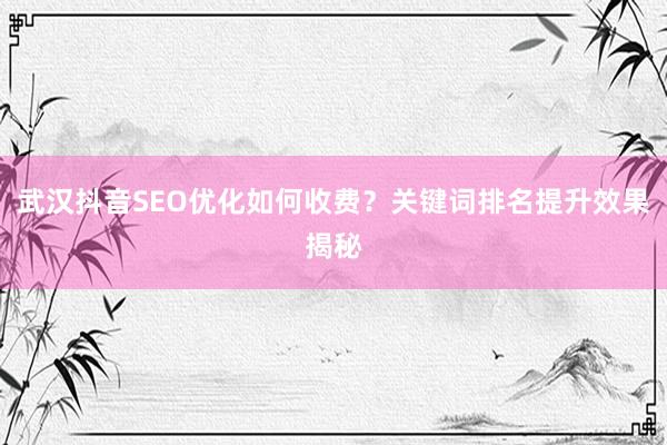 武汉抖音SEO优化如何收费？关键词排名提升效果揭秘