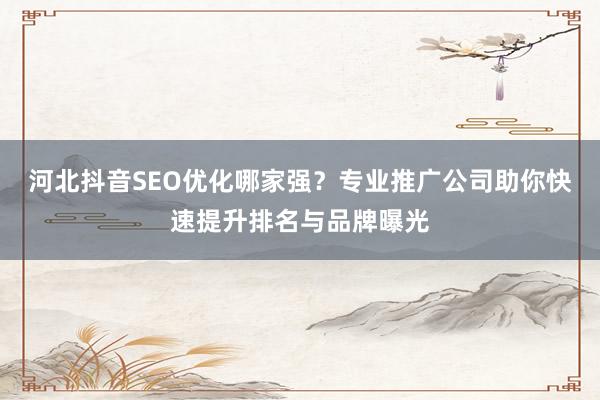 河北抖音SEO优化哪家强？专业推广公司助你快速提升排名与品牌曝光