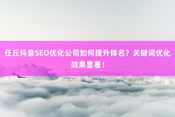 任丘抖音SEO优化公司如何提升排名？关键词优化效果显著！