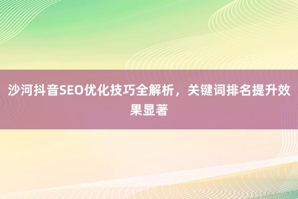 沙河抖音SEO优化技巧全解析，关键词排名提升效果显著
