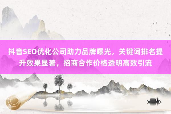 抖音SEO优化公司助力品牌曝光，关键词排名提升效果显著，招商合作价格透明高效引流