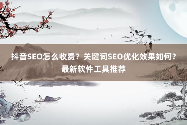 抖音SEO怎么收费？关键词SEO优化效果如何？最新软件工具推荐