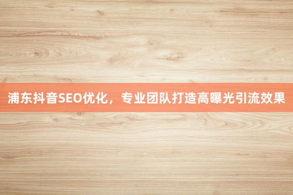 浦东抖音SEO优化，专业团队打造高曝光引流效果