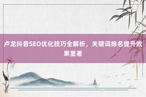 卢龙抖音SEO优化技巧全解析，关键词排名提升效果显著