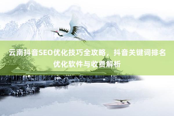 云南抖音SEO优化技巧全攻略，抖音关键词排名优化软件与收费解析