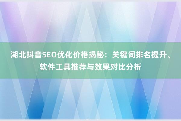 湖北抖音SEO优化价格揭秘：关键词排名提升、软件工具推荐与效果对比分析