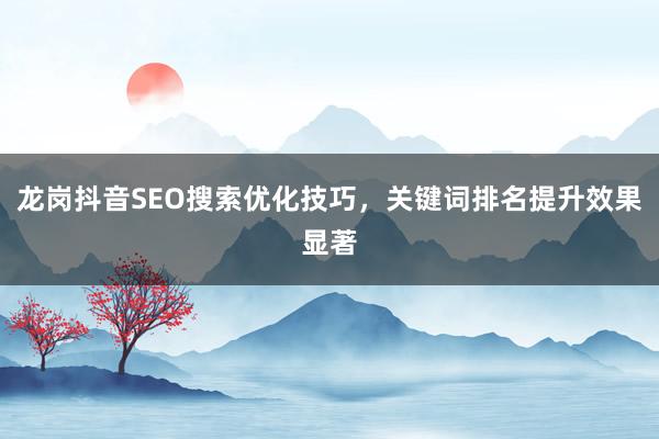 龙岗抖音SEO搜索优化技巧，关键词排名提升效果显著