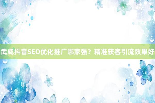 武威抖音SEO优化推广哪家强？精准获客引流效果好