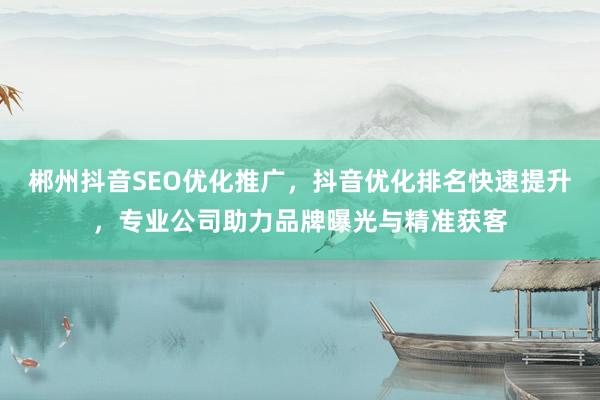 郴州抖音SEO优化推广，抖音优化排名快速提升，专业公司助力品牌曝光与精准获客