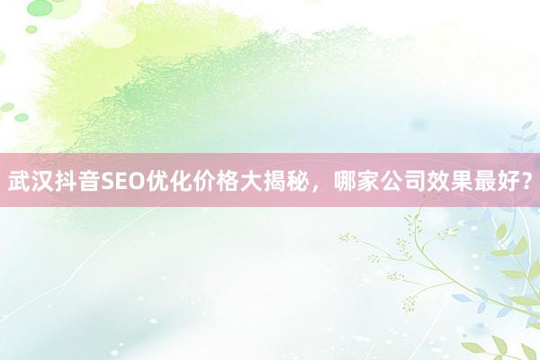 武汉抖音SEO优化价格大揭秘，哪家公司效果最好？