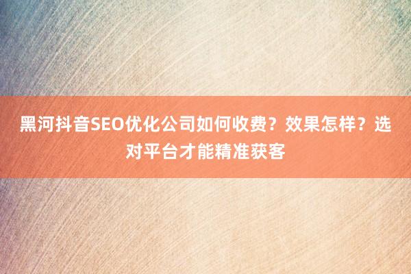 黑河抖音SEO优化公司如何收费？效果怎样？选对平台才能精准获客