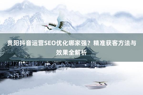 贵阳抖音运营SEO优化哪家强？精准获客方法与效果全解析