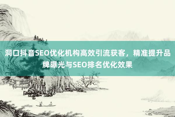 洞口抖音SEO优化机构高效引流获客，精准提升品牌曝光与SEO排名优化效果