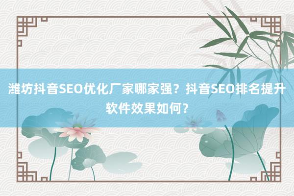 潍坊抖音SEO优化厂家哪家强？抖音SEO排名提升软件效果如何？