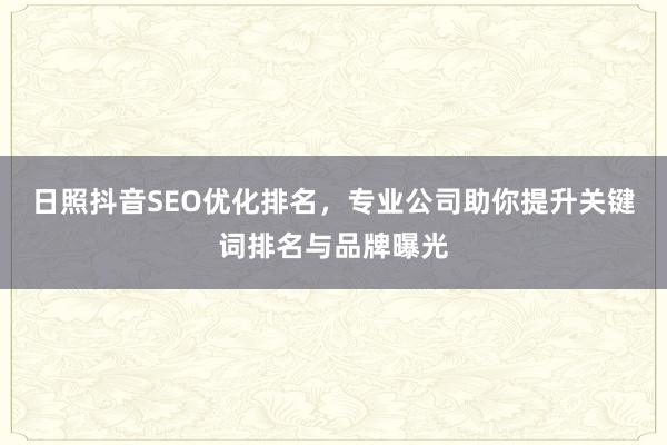 日照抖音SEO优化排名，专业公司助你提升关键词排名与品牌曝光