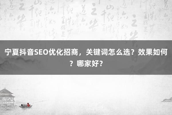 宁夏抖音SEO优化招商，关键词怎么选？效果如何？哪家好？