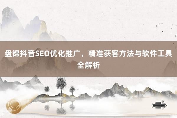 盘锦抖音SEO优化推广，精准获客方法与软件工具全解析