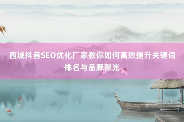 西城抖音SEO优化厂家教你如何高效提升关键词排名与品牌曝光