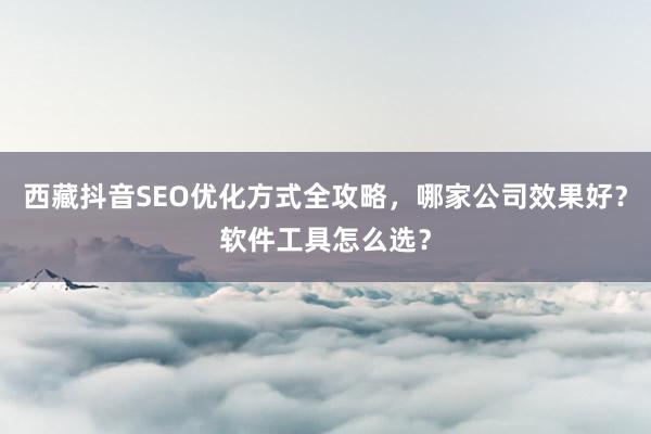 西藏抖音SEO优化方式全攻略，哪家公司效果好？软件工具怎么选？