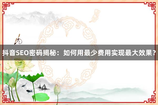 抖音SEO密码揭秘：如何用最少费用实现最大效果？
