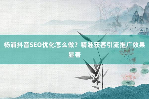 杨浦抖音SEO优化怎么做？精准获客引流推广效果显著