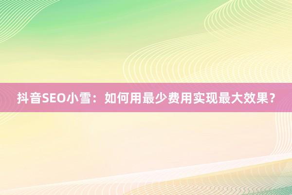 抖音SEO小雪：如何用最少费用实现最大效果？