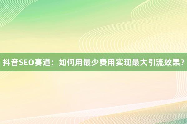 抖音SEO赛道：如何用最少费用实现最大引流效果？